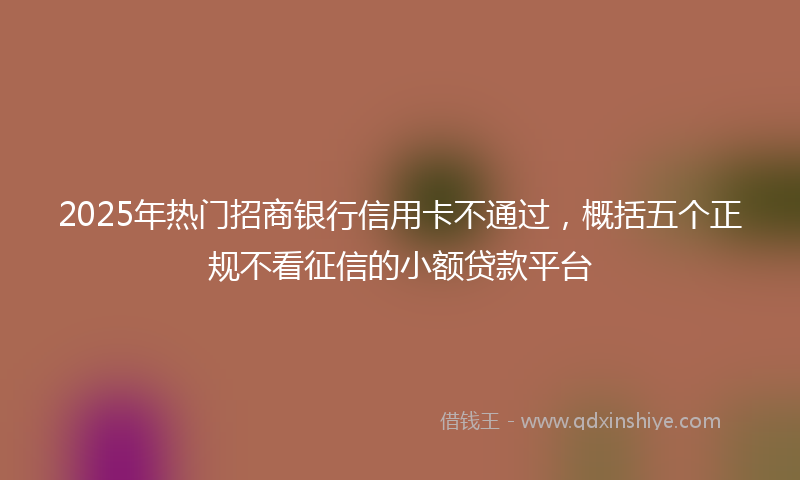 2025年热门招商银行信用卡不通过，概括五个正规不看征信的小额贷款平台