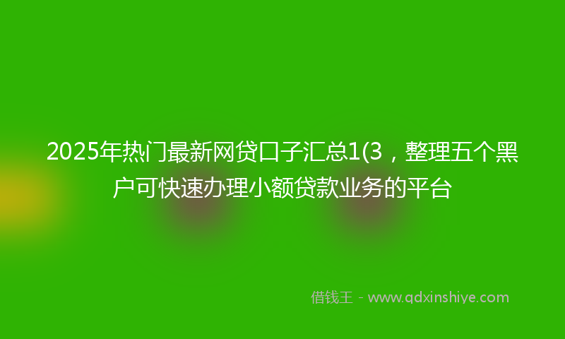 2025年热门最新网贷口子汇总1(3，整理五个黑户可快速办理小额贷款业务的平台