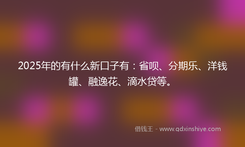2025年的有什么新口子有：省呗、分期乐、洋钱罐、融逸花、滴水贷等。