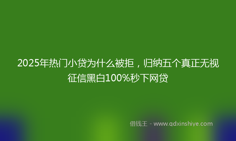 2025年热门小贷为什么被拒，归纳五个真正无视征信黑白100%秒下网贷