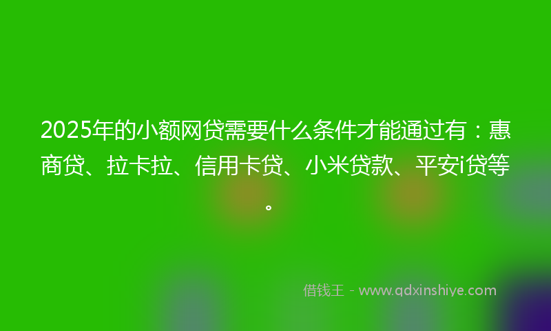 2025年的小额网贷需要什么条件才能通过有：惠商贷、拉卡拉、信用卡贷、小米贷款、平安i贷等。