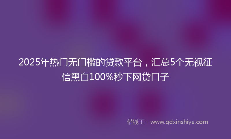 2025年热门无门槛的贷款平台，汇总5个无视征信黑白100%秒下网贷口子