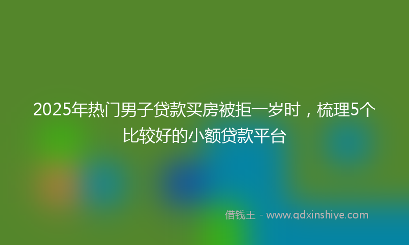 2025年热门男子贷款买房被拒一岁时，梳理5个比较好的小额贷款平台