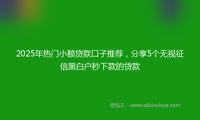 2025年热门小额贷款口子推荐，分享5个无视征信黑白户秒下款的贷款