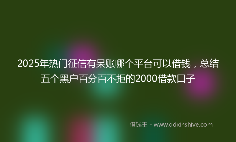 2025年热门征信有呆账哪个平台可以借钱，总结五个黑户百分百不拒的2000借款口子