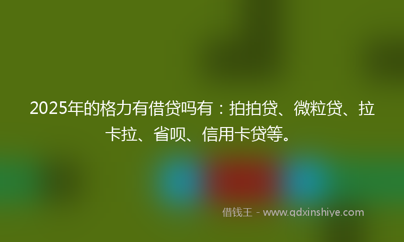 2025年的格力有借贷吗有：拍拍贷、微粒贷、拉卡拉、省呗、信用卡贷等。