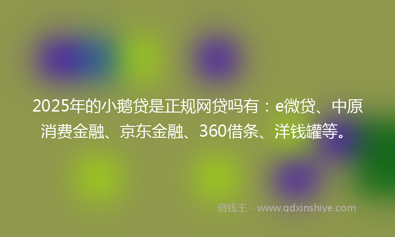 2025年的小鹅贷是正规网贷吗有：e微贷、中原消费金融、京东金融、360借条、洋钱罐等。