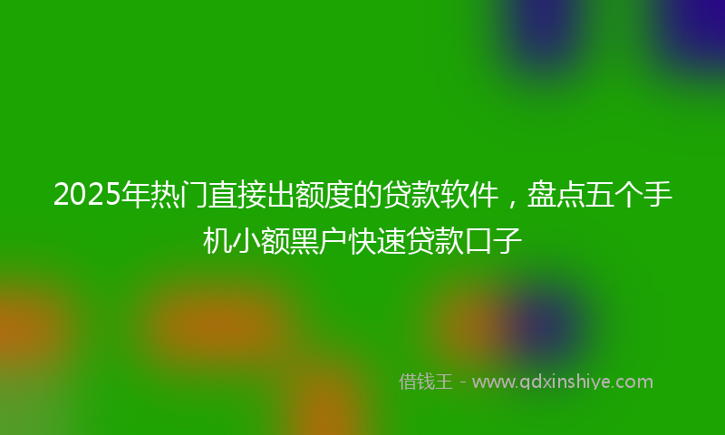 2025年热门直接出额度的贷款软件，盘点五个手机小额黑户快速贷款口子