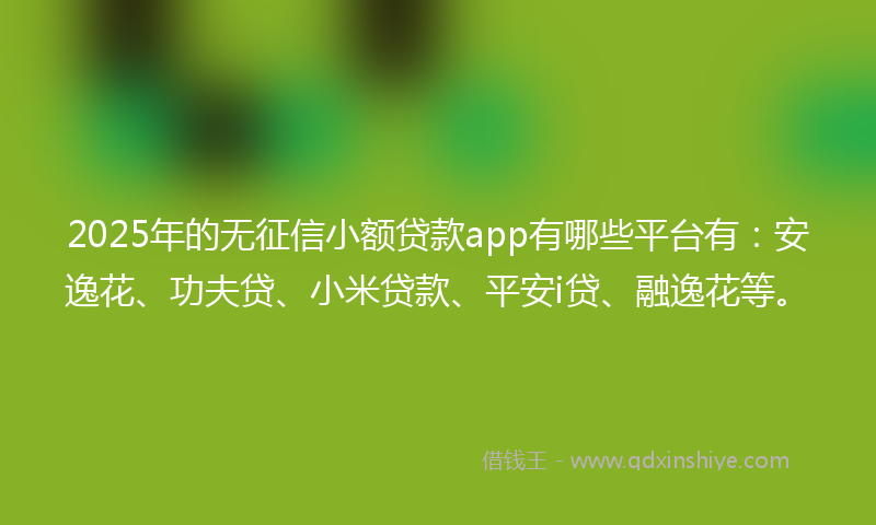 2025年的无征信小额贷款app有哪些平台有：安逸花、功夫贷、小米贷款、平安i贷、融逸花等。