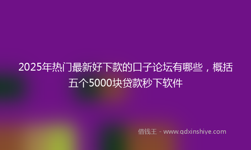 2025年热门最新好下款的口子论坛有哪些，概括五个5000块贷款秒下软件