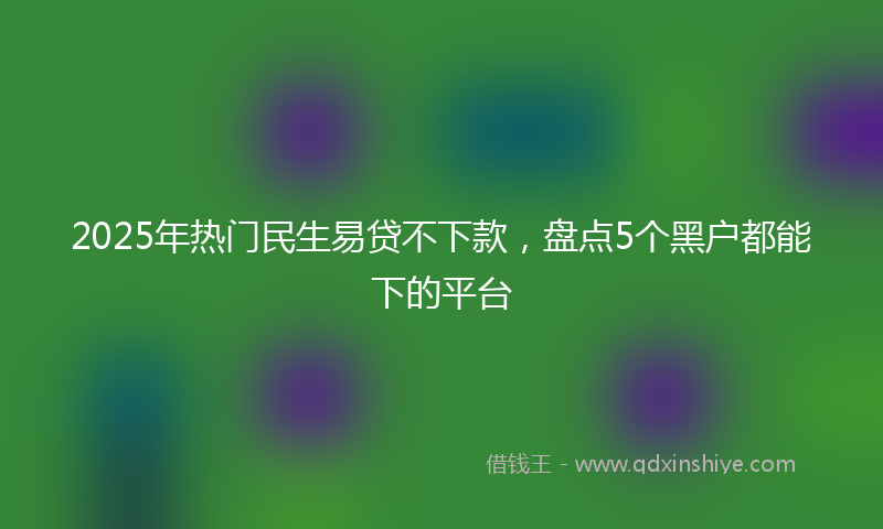2025年热门民生易贷不下款，盘点5个黑户都能下的平台