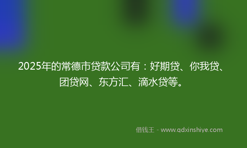 2025年的常德市贷款公司有：好期贷、你我贷、团贷网、东方汇、滴水贷等。
