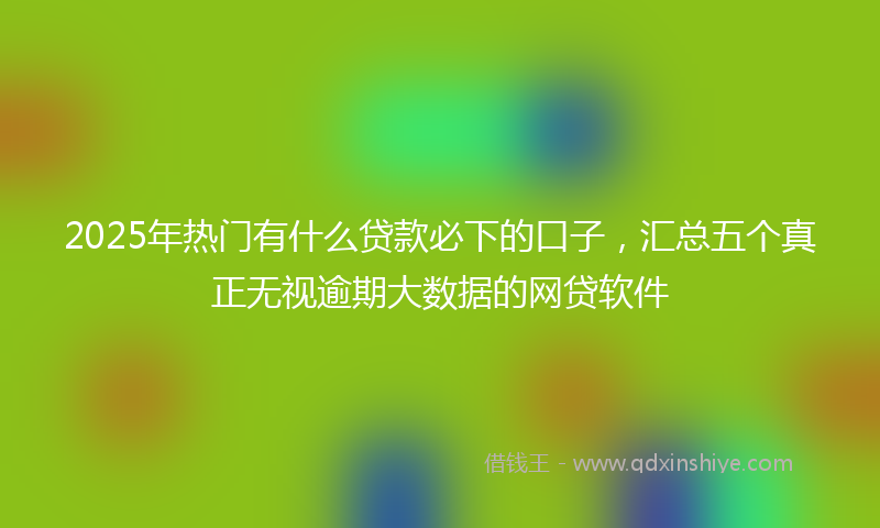 2025年热门有什么贷款必下的口子，汇总五个真正无视逾期大数据的网贷软件