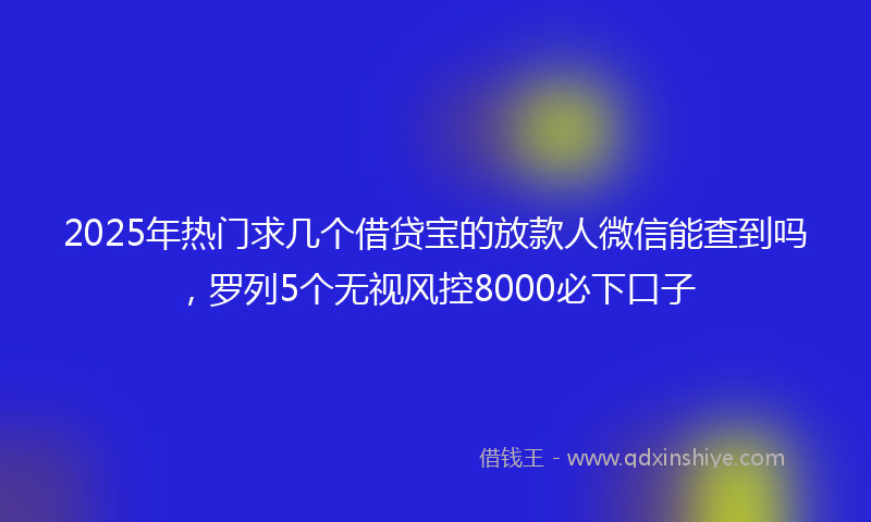 2025年热门求几个借贷宝的放款人微信能查到吗，罗列5个无视风控8000必下口子