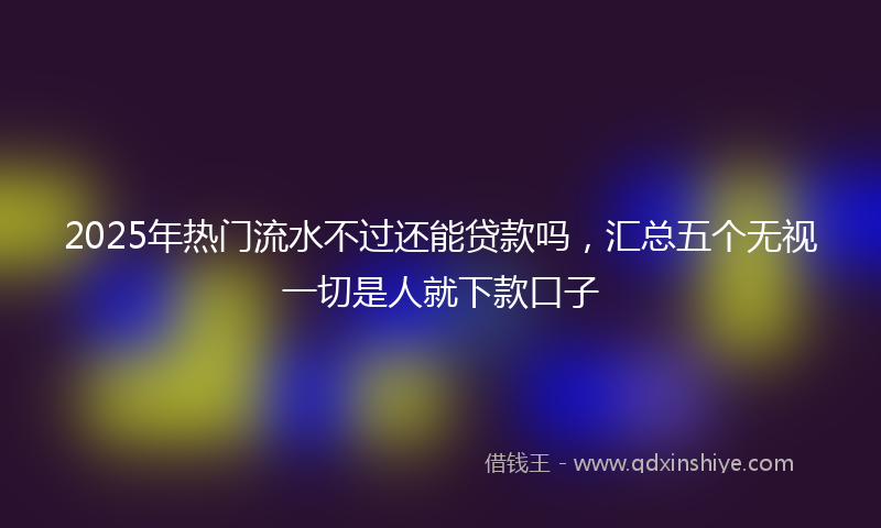 2025年热门流水不过还能贷款吗，汇总五个无视一切是人就下款口子