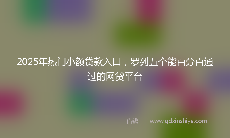 2025年热门小额贷款入口，罗列五个能百分百通过的网贷平台
