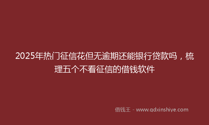 2025年热门征信花但无逾期还能银行贷款吗，梳理五个不看征信的借钱软件