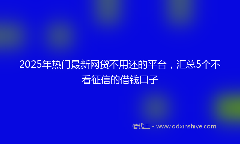 2025年热门最新网贷不用还的平台，汇总5个不看征信的借钱口子