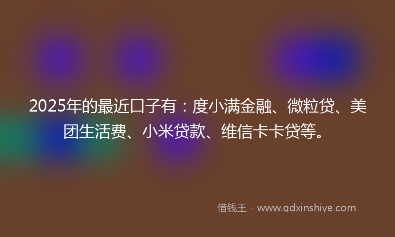 2025年的最近口子有：度小满金融、微粒贷、美团生活费、小米贷款、维信卡卡贷等。