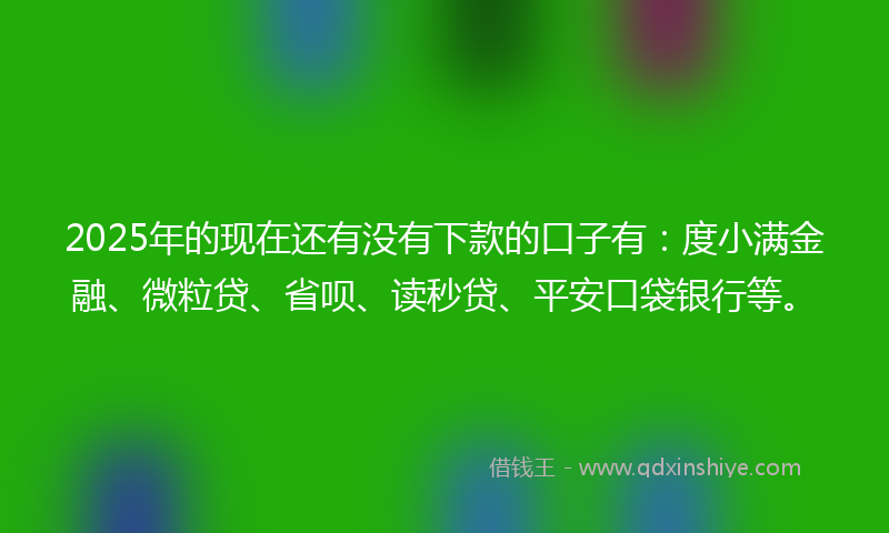 2025年的现在还有没有下款的口子有：度小满金融、微粒贷、省呗、读秒贷、平安口袋银行等。