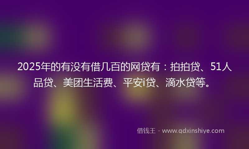 2025年的有没有借几百的网贷有：拍拍贷、51人品贷、美团生活费、平安i贷、滴水贷等。