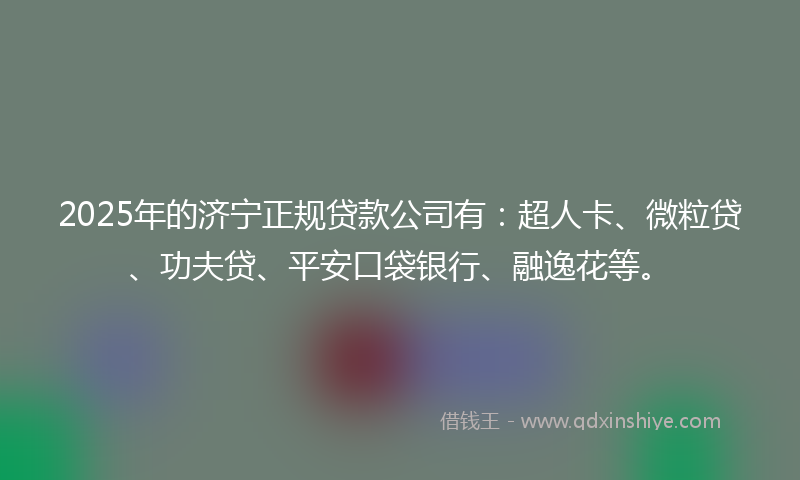 2025年的济宁正规贷款公司有：超人卡、微粒贷、功夫贷、平安口袋银行、融逸花等。