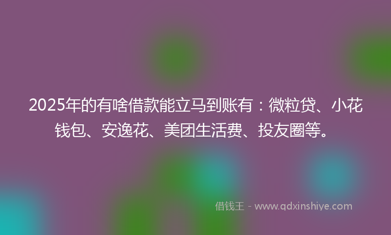 2025年的有啥借款能立马到账有：微粒贷、小花钱包、安逸花、美团生活费、投友圈等。