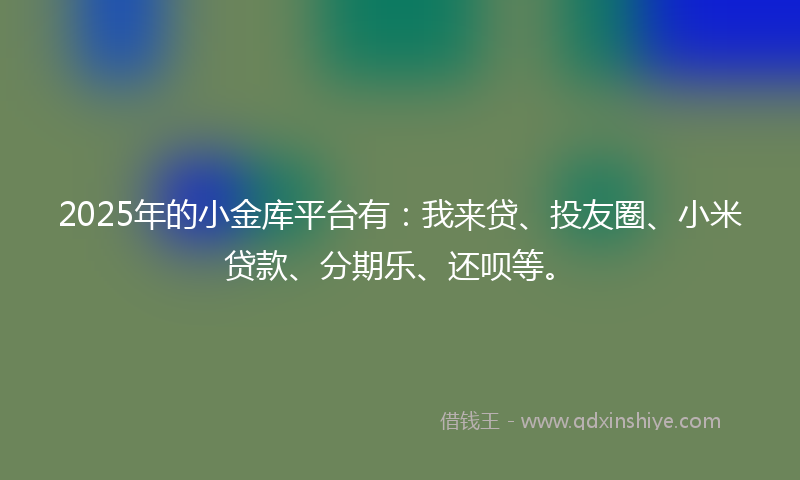 2025年的小金库平台有：我来贷、投友圈、小米贷款、分期乐、还呗等。