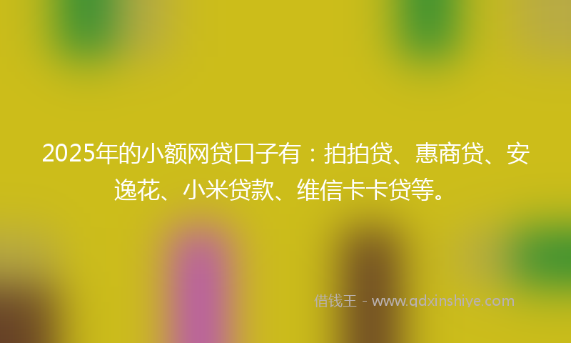 2025年的小额网贷口子有：拍拍贷、惠商贷、安逸花、小米贷款、维信卡卡贷等。