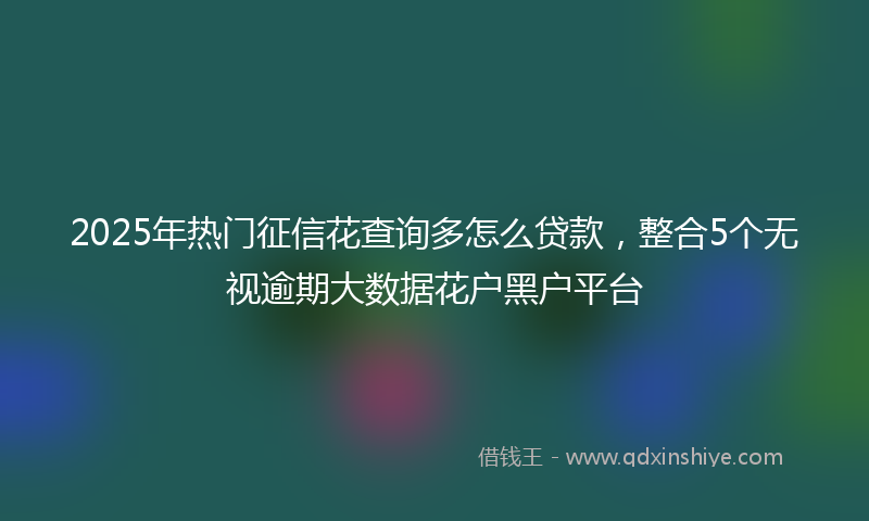 2025年热门征信花查询多怎么贷款，整合5个无视逾期大数据花户黑户平台