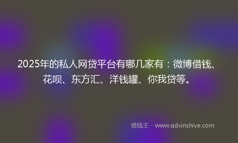 2025年的私人网贷平台有哪几家有：微博借钱、花呗、东方汇、洋钱罐、你我贷等。