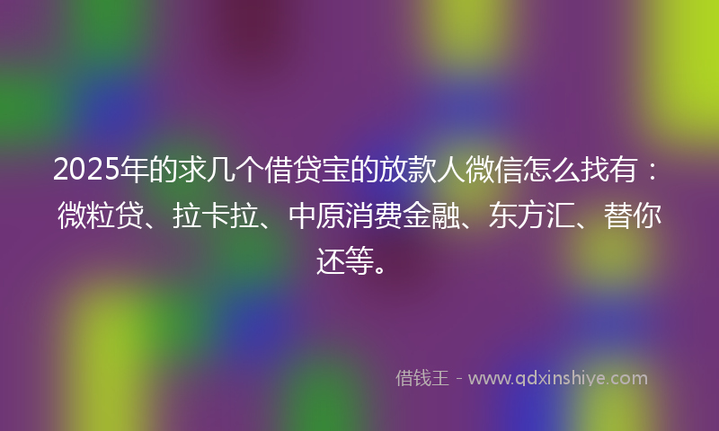 2025年的求几个借贷宝的放款人微信怎么找有：微粒贷、拉卡拉、中原消费金融、东方汇、替你还等。