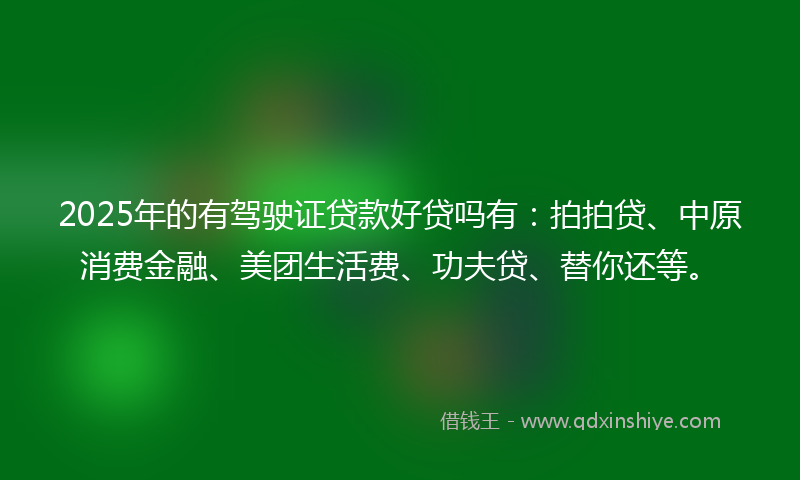 2025年的有驾驶证贷款好贷吗有：拍拍贷、中原消费金融、美团生活费、功夫贷、替你还等。