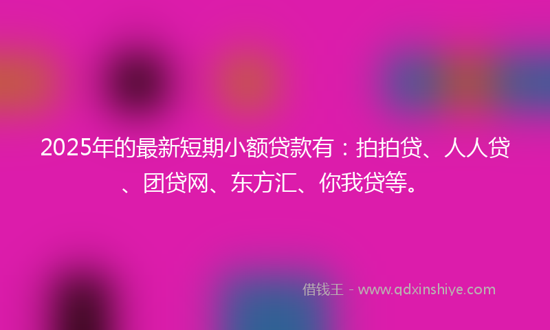 2025年的最新短期小额贷款有：拍拍贷、人人贷、团贷网、东方汇、你我贷等。