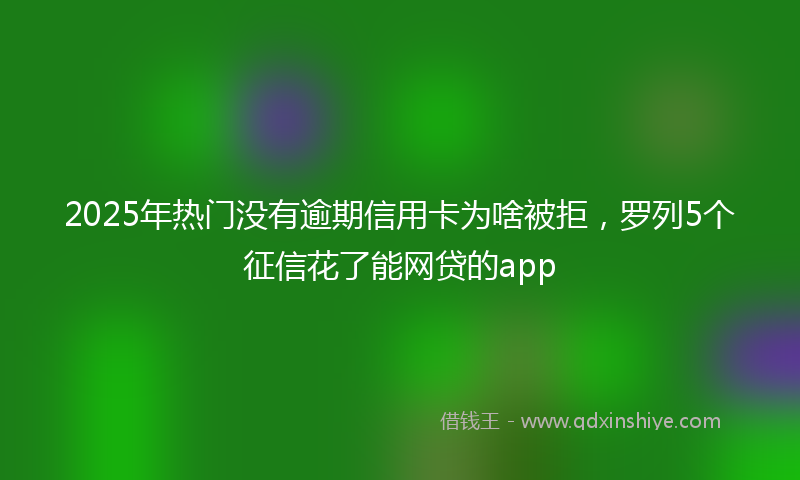 2025年热门没有逾期信用卡为啥被拒，罗列5个征信花了能网贷的app