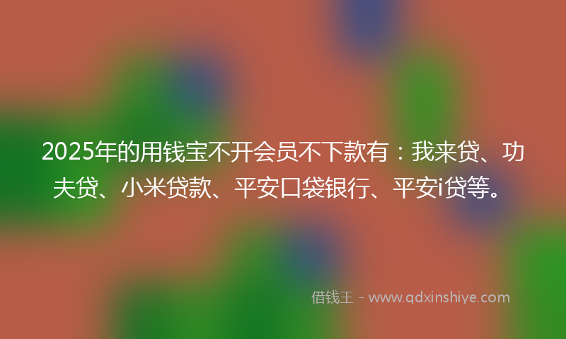 2025年的用钱宝不开会员不下款有：我来贷、功夫贷、小米贷款、平安口袋银行、平安i贷等。