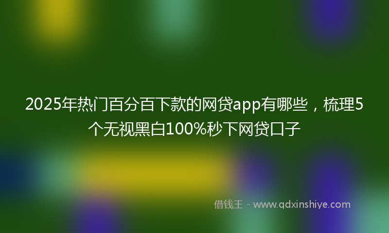 2025年热门百分百下款的网贷app有哪些，梳理5个无视黑白100%秒下网贷口子