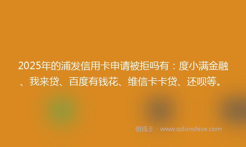 2025年的浦发信用卡申请被拒吗有：度小满金融、我来贷、百度有钱花、维信卡卡贷、还呗等。