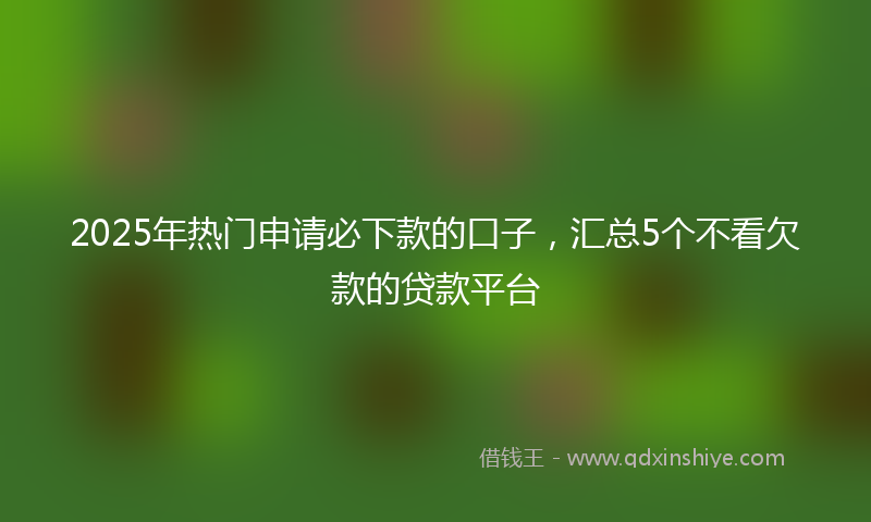 2025年热门申请必下款的口子，汇总5个不看欠款的贷款平台