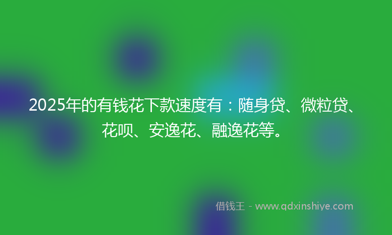 2025年的有钱花下款速度有：随身贷、微粒贷、花呗、安逸花、融逸花等。
