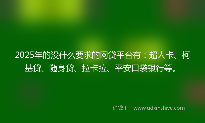2025年的没什么要求的网贷平台有：超人卡、柯基贷、随身贷、拉卡拉、平安口袋银行等。