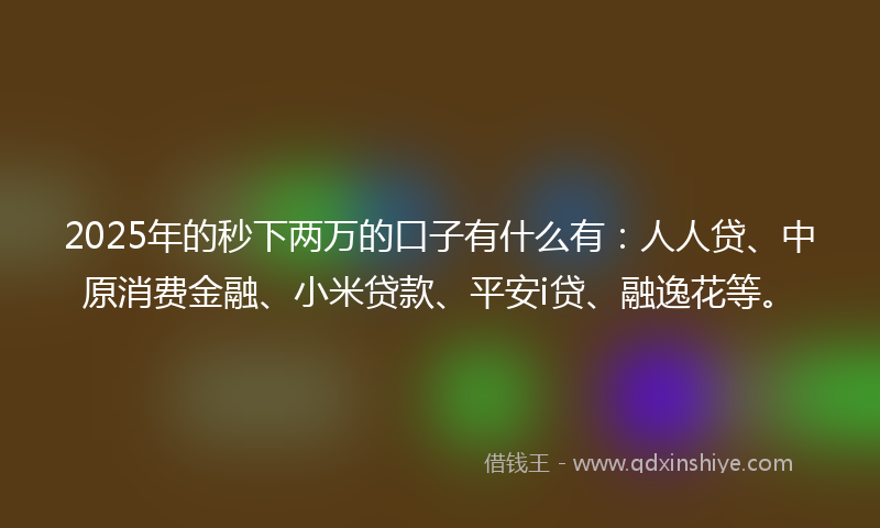 2025年的秒下两万的口子有什么有：人人贷、中原消费金融、小米贷款、平安i贷、融逸花等。