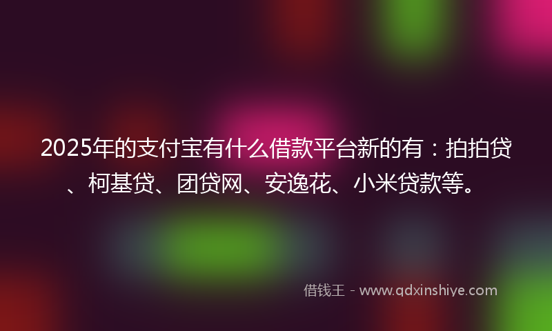 2025年的支付宝有什么借款平台新的有：拍拍贷、柯基贷、团贷网、安逸花、小米贷款等。