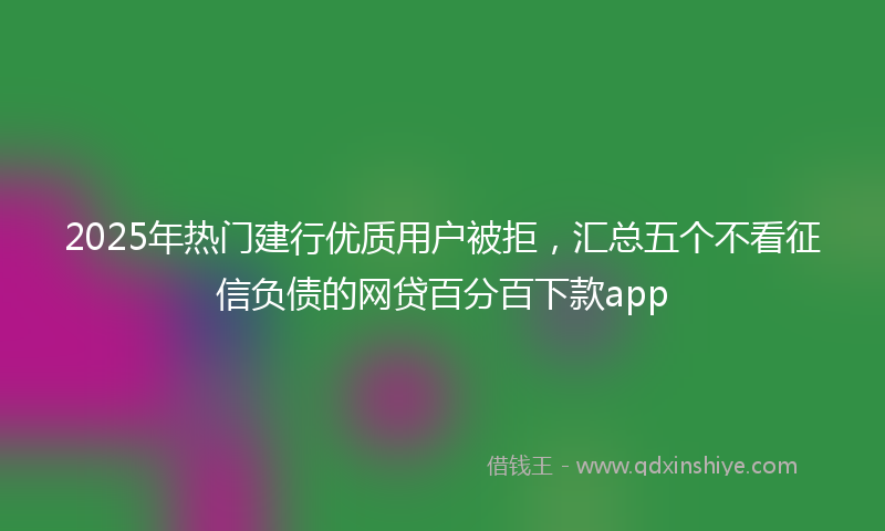 2025年热门建行优质用户被拒，汇总五个不看征信负债的网贷百分百下款app