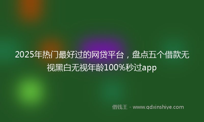2025年热门最好过的网贷平台，盘点五个借款无视黑白无视年龄100%秒过app
