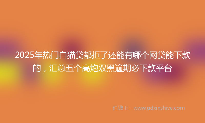 2025年热门白猫贷都拒了还能有哪个网贷能下款的，汇总五个高炮双黑逾期必下款平台