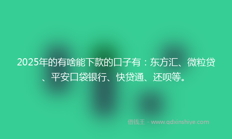 2025年的有啥能下款的口子有：东方汇、微粒贷、平安口袋银行、快贷通、还呗等。