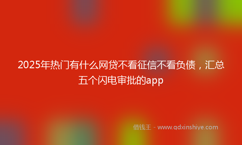 2025年热门有什么网贷不看征信不看负债，汇总五个闪电审批的app