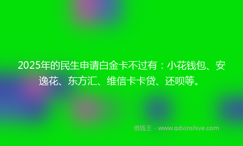 2025年的民生申请白金卡不过有：小花钱包、安逸花、东方汇、维信卡卡贷、还呗等。