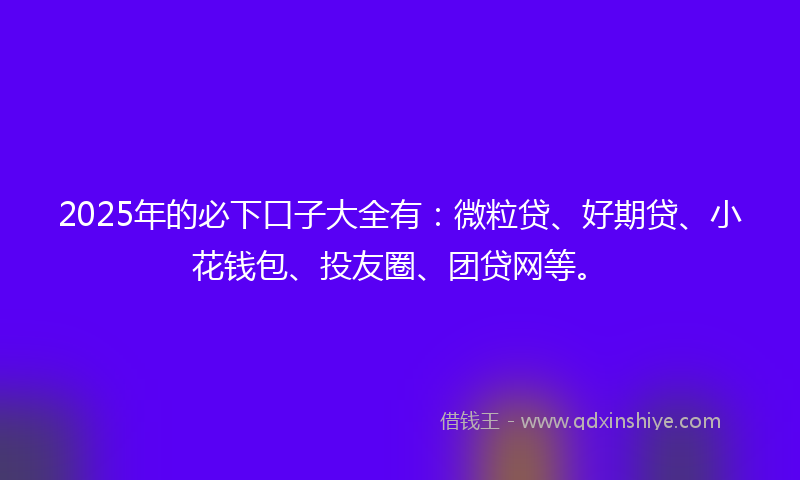 2025年的必下口子大全有：微粒贷、好期贷、小花钱包、投友圈、团贷网等。